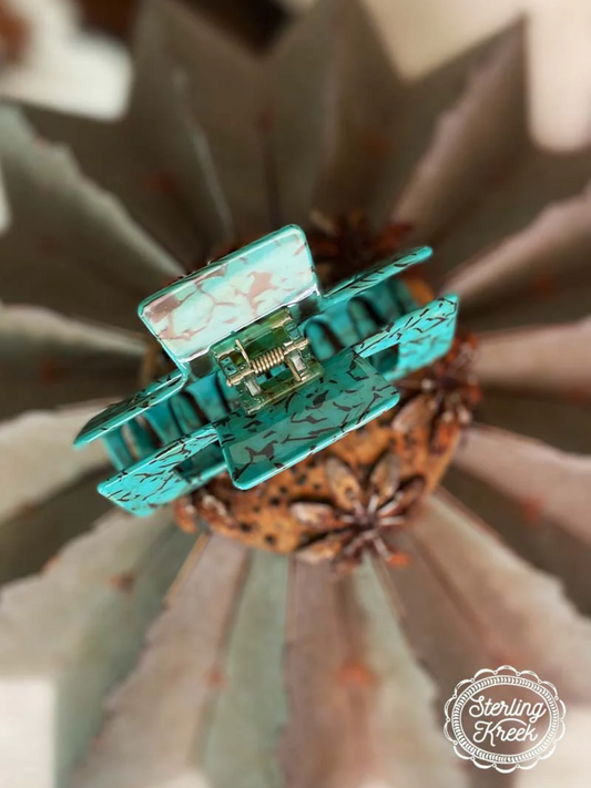 WILD CHEROKEE HAIR CLIP